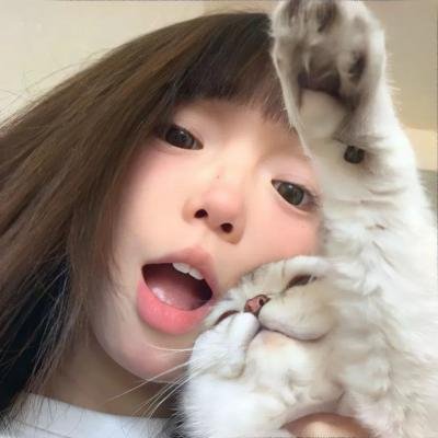 堪萨斯小猫